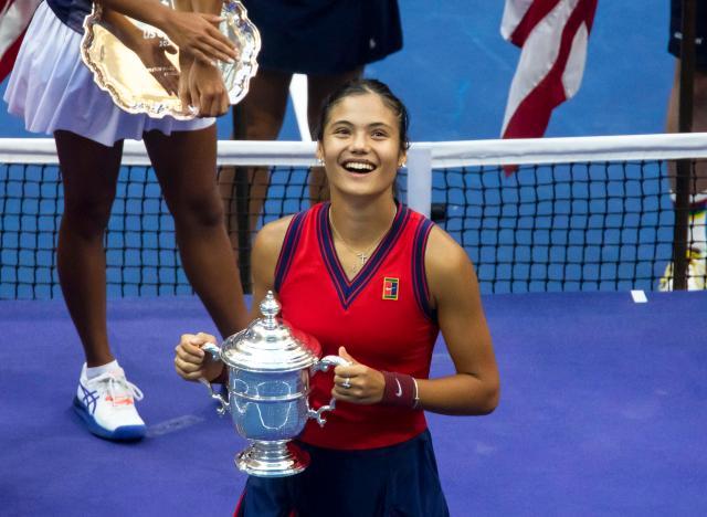 这些元素交 这些元素交