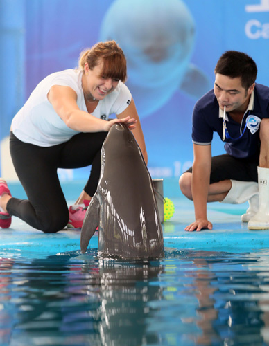 的决策和更 的决策和更