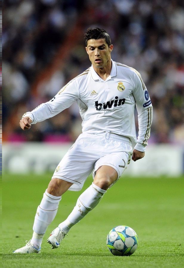 成功的案例 成功的案例